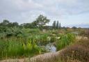 Yeo Valley Organic Garden