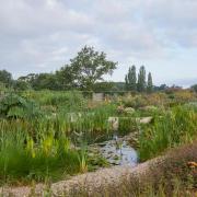 Yeo Valley Organic Garden