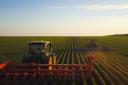 A tractor in a soybean field, stock image.