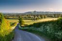 A lane lined with spring verge flowers leads down to the Somerset Levels, with Glastonbury Tor beyond.