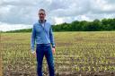 Goat Shed owner Sam Steggles in the field where the maize maze will be Picture: Goat Shed