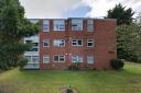 TREES: Harden Court in Barbourne