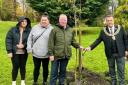 Cllr Donaghy and the Mayor of Bolton, Cllr Andy Morgan, joined by local care leavers with the positivitree