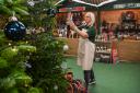 Ella Sutton, team leader, in the Christmas Shed at the Goat Shed