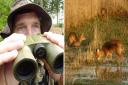 The Broads Authority are lookign for someone to conduct a deer survey in the Norfolk Broads