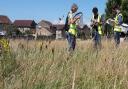 North Somerset Council have asked people to start monitoring biodiversity.