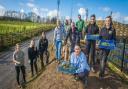 Thatchers staff help plant wildflowers at a new wildlife area.