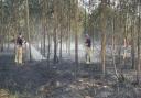 Fire crews warn against woodland fires, issue tips.