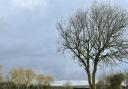 The golf course at Isle of Wedmore had to deal with some torrential wind