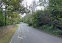 A stretch of the road near Brockely Combe