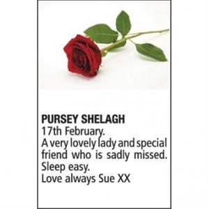 SHELAGH PURSEY