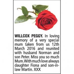 PEGGY WILLCOX