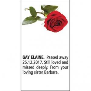 ELAINE GAY