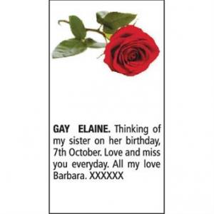 Elaine Gay