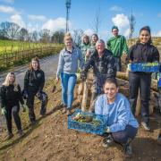 Thatchers staff help plant wildflowers at a new wildlife area.