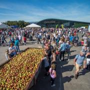 Thatchers will hold a family open day next month.