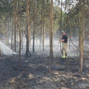 Fire crews warn against woodland fires, issue tips.