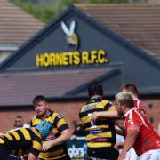 Hornets Seconds battle hard but beaten by strong Taunton Warriors side