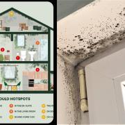 Over one in five (22%) sleep each night with dangerous mould in their bedroom, while 15% have mould in their kitchen, according to the research.