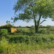 The land off Bristol Road in Hewish