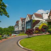 Winners of Disco Bingo will need to shout 'Cadbury House!'