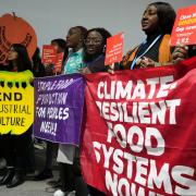 Activists at Cop29 said countries had not sufficiently incorporated nature protection and restoration into their national climate action plans (Rafiq Maqbool/AP)