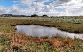 Bleadon Levels to be protected by Wessex Water.