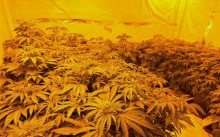 Town Centre Neighbourhood Policing Team seized 90 cannabis plants.