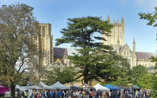 Local food producers taking part in Wells Food Festival