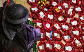 Poppies to Paddington in time for Armistice Day on Monday (November 11).